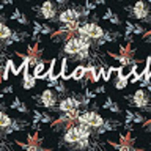 Meet your Posher, Tj